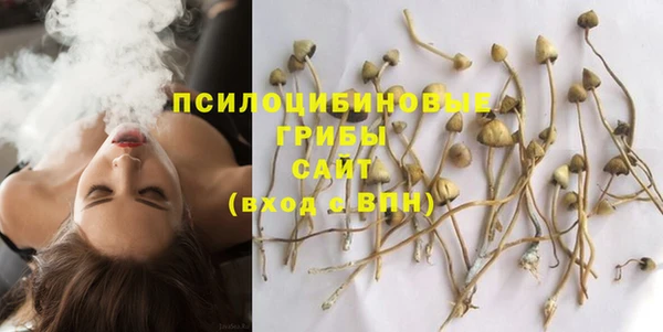 spice Краснотурьинск